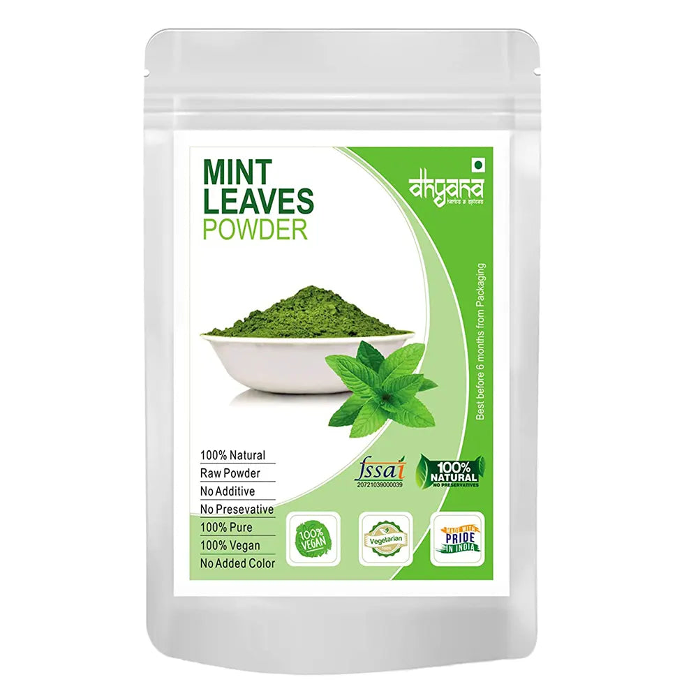 Dhyana Exim Mint Leaves Pudina Powder-1